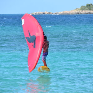 Wing Rent  -  7 days